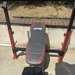 BENCH PRESS