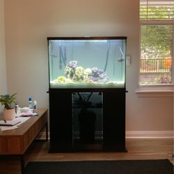 Brand New 45 Gallon Saltwater Aquarium And Stand!  Everything Included 