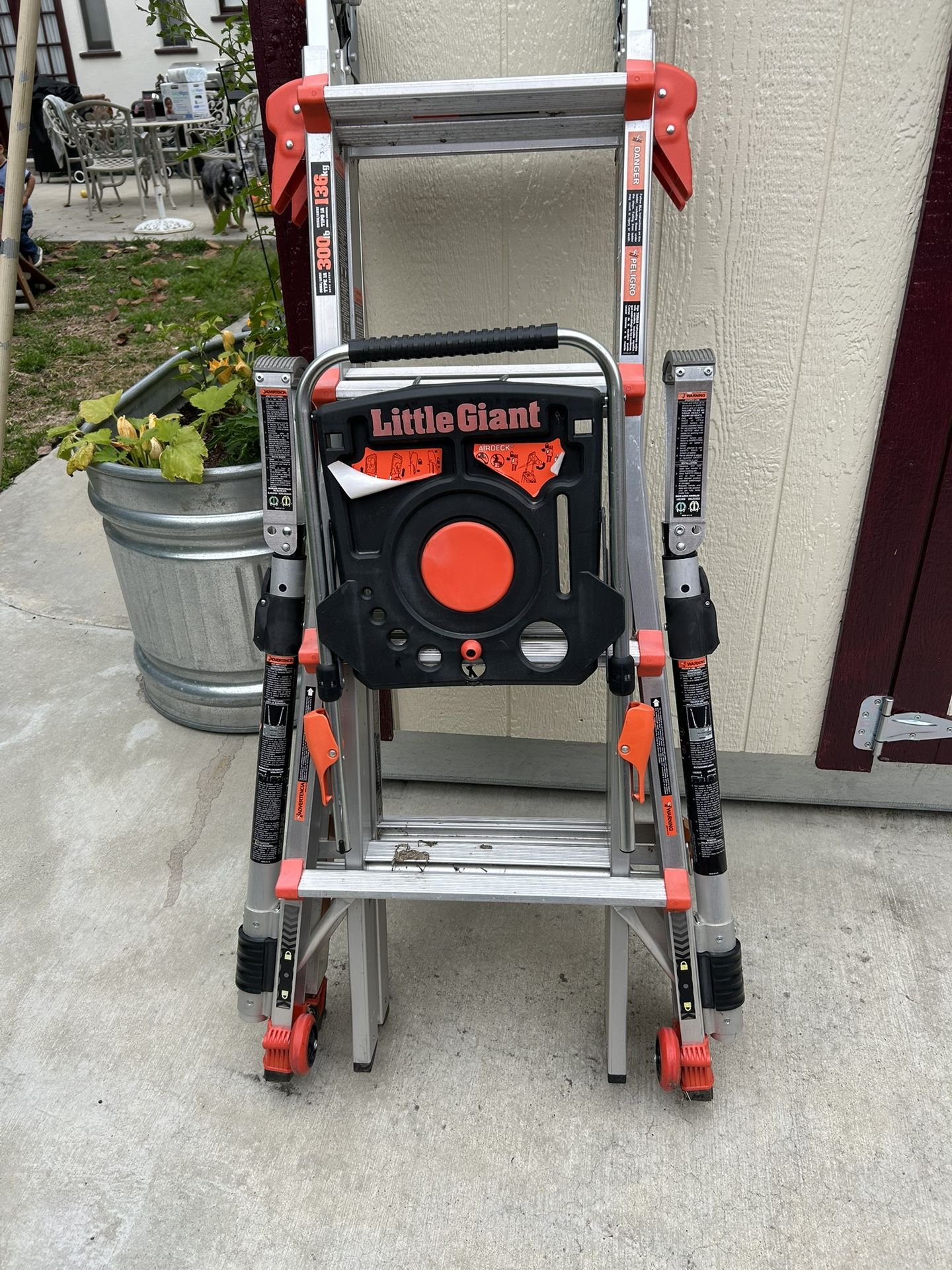 Little giant Ladder