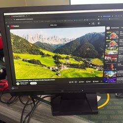 EIZO FORIS FS2332 23 Inch Monitor 