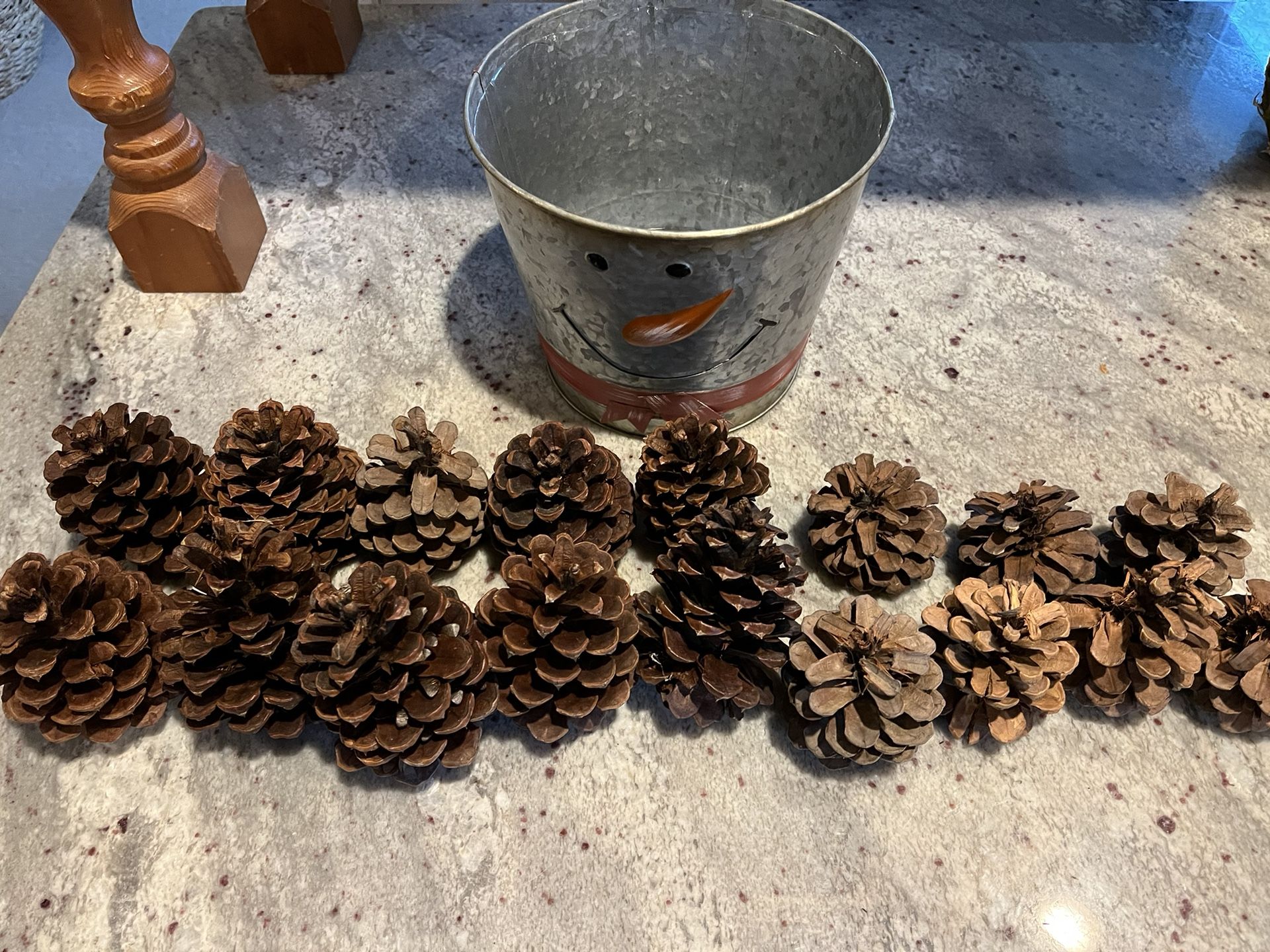 Craft Pine cones In Tin Bucket