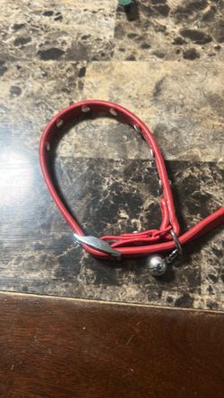 red leather/vinyl cat collar with a bell