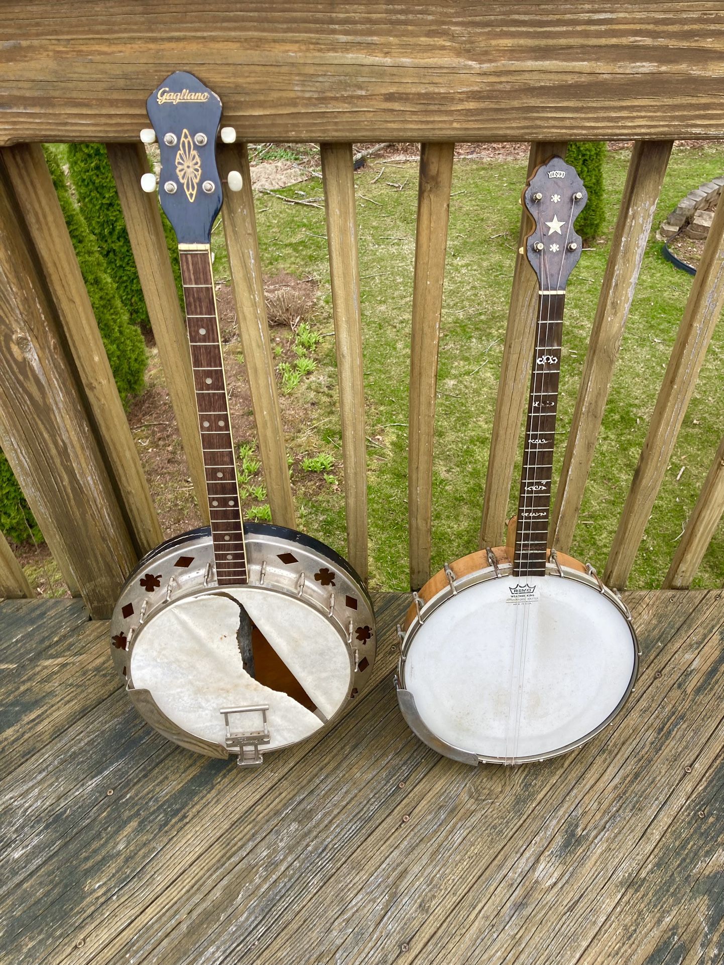 Vintage 1920s-1950s Banjos 