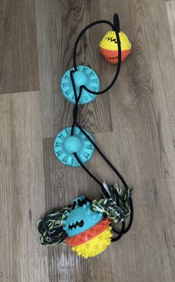 Kong dog harness and toy