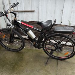 E Bike Pedal Assist With Rear Seat 