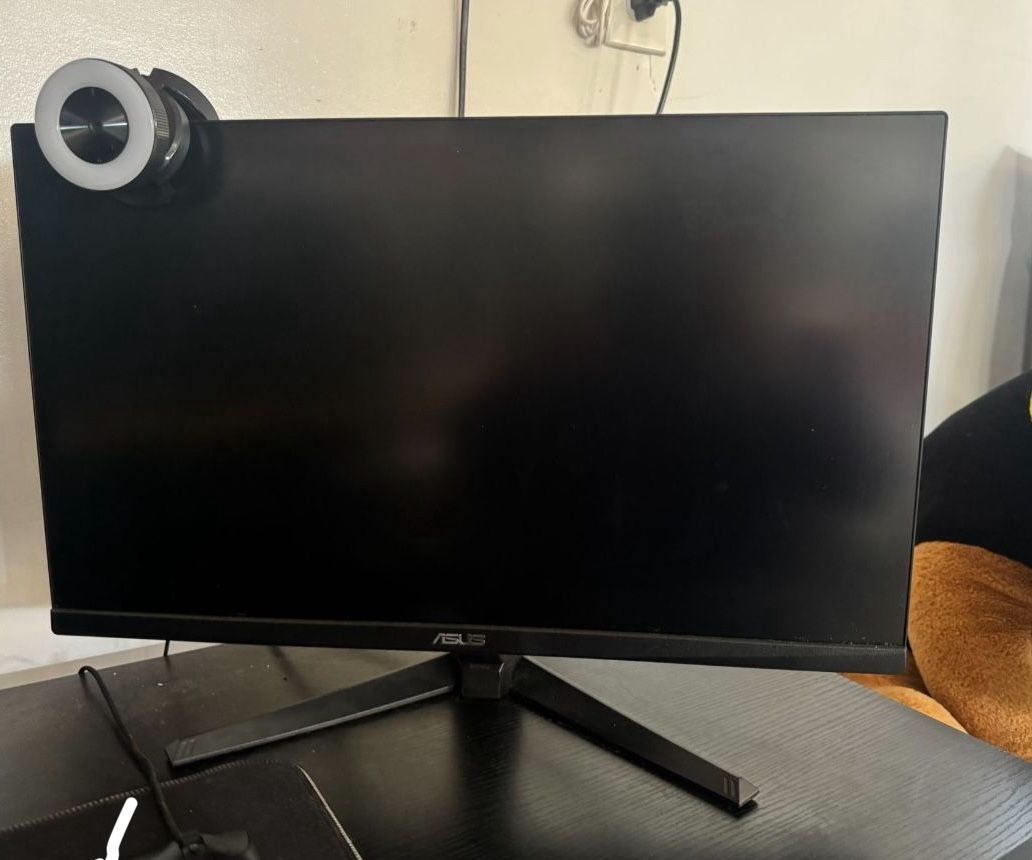Asus Tuf Gaming Monitor 165hz