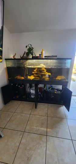 150 gallon