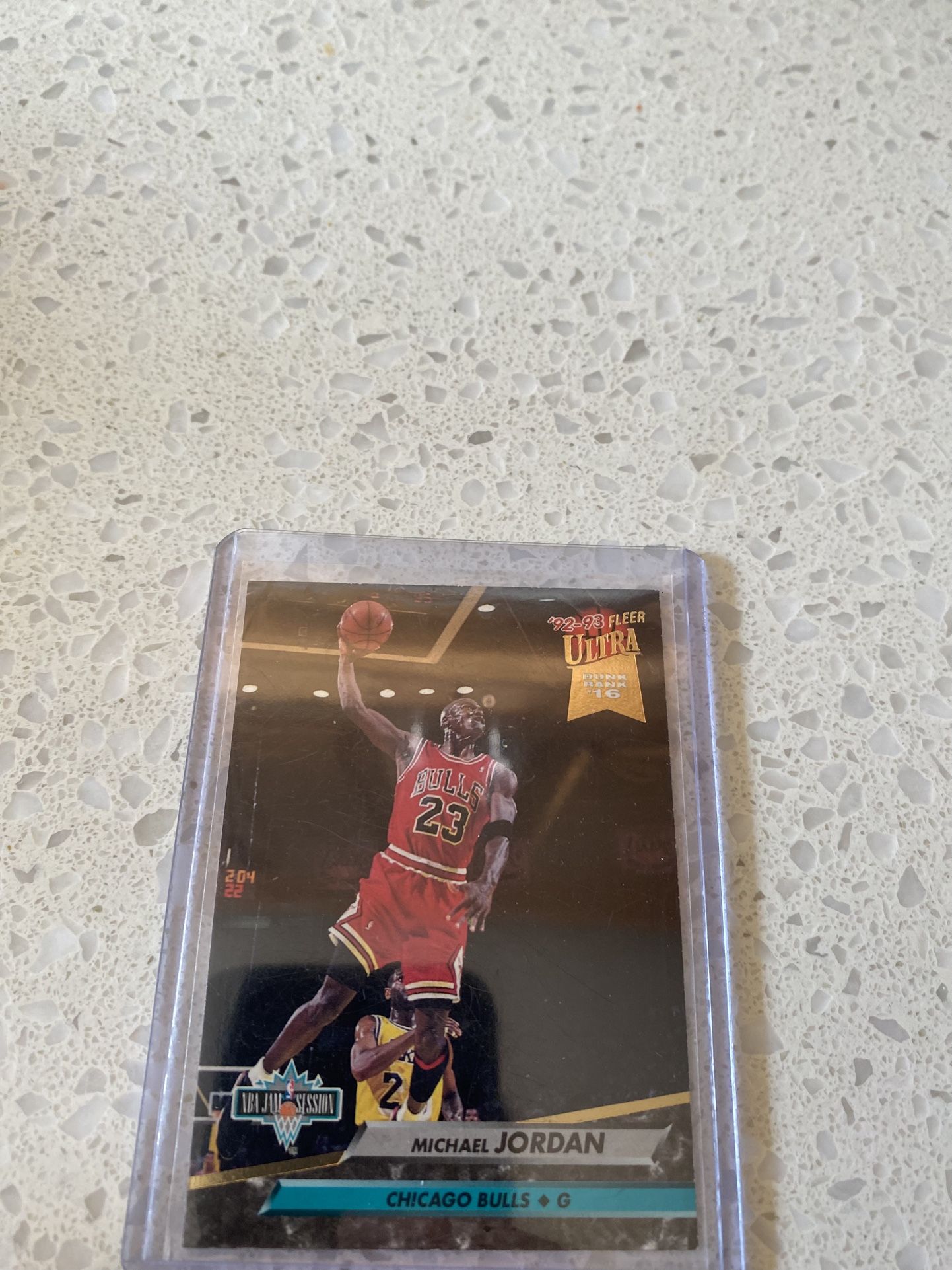 Rare Michel Jordan Card