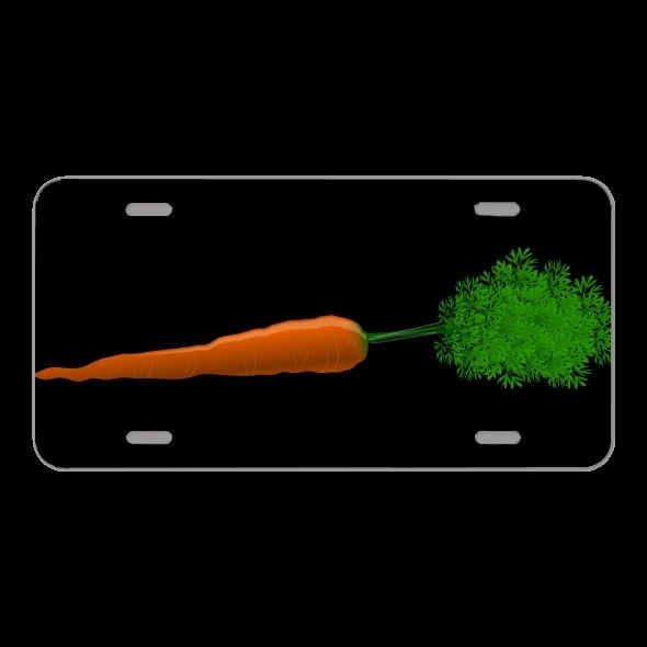 License Plate Novelty Car Front Carrot Root Crop Vegetable Orange