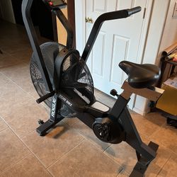 Rogue Echo Bike V2