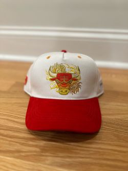 Chicago bulls hat