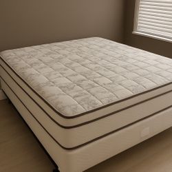 New King Mattress And Box Springs Bed Frame I’d Not Included 