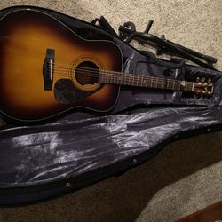 Brand New Guitar  Case And Stand