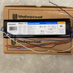 Electronic Ballasts 