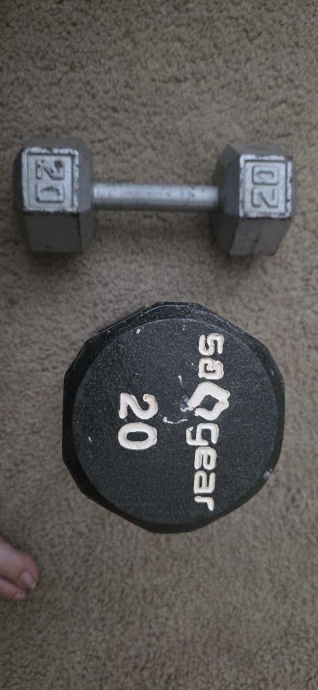20 Lb Weights