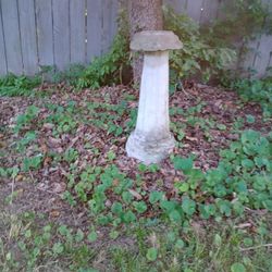 Vintage Concrete Bird Bath/ Gazing Ball Stand