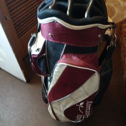 Ladies fourteen divider golf bag