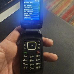 LG Flip Phone 