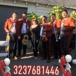 Trumpet Violín Mariachi
