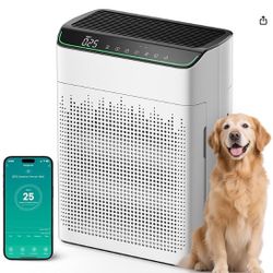 Air Purifiers for Home Large Room 