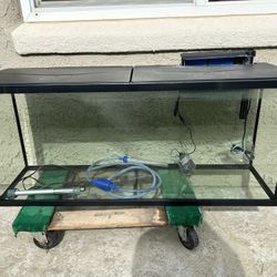 55 Gallon Fish Tank 