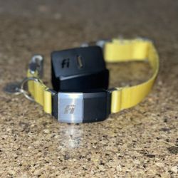 Fi Series 2 Tracking Collar