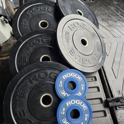 Weight Rogue Bumper Plates 