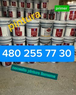 Paint and primer