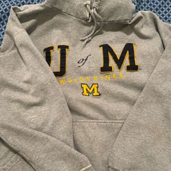 Old University of Wolverines Hoodie 
