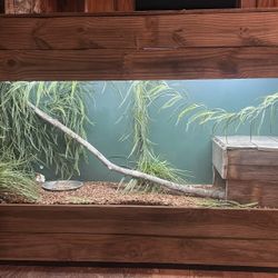 Terrarium / Reptile Tank 