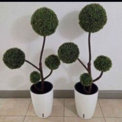 PAIR of Faux 4-Ball Boxwood Topiaries in 16" White Resin Planters (2 for $120) @ Lasting Creations