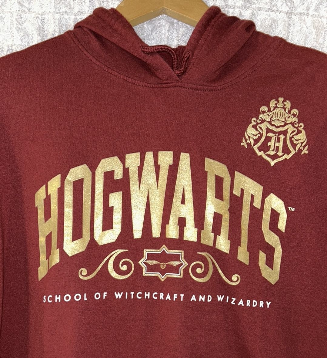 Harry Potter Wizarding World: Maroon & Gold Hoodie, Size:XXL (Child)
