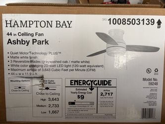 44 in Hampton Bay Ashby Park Ceiling Fan