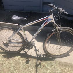 Schwinn Connection Bike