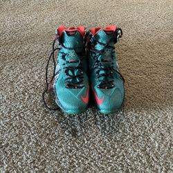 Lebron Size 14 Basketball Shoes