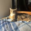 Samantha