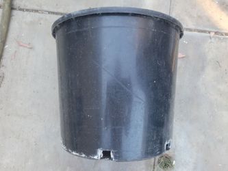 5 Gallon Black Plastic Nursery Pot
