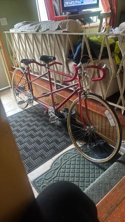 Schwinn Twin Sport