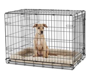 1-Door Folding Dog Crate, 48" L X 30.1" W X 32.6" H

