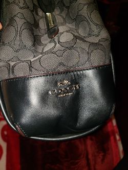 Bolsa coach