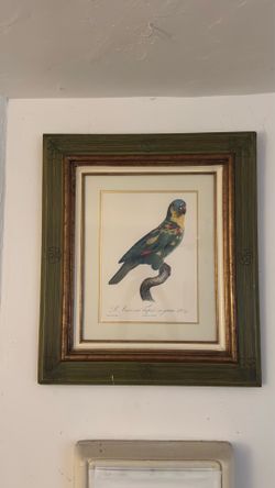 Jacques Barraband Framed Parrot Print – Olive Green Carved Wood Frame