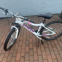 Schwinn Bike