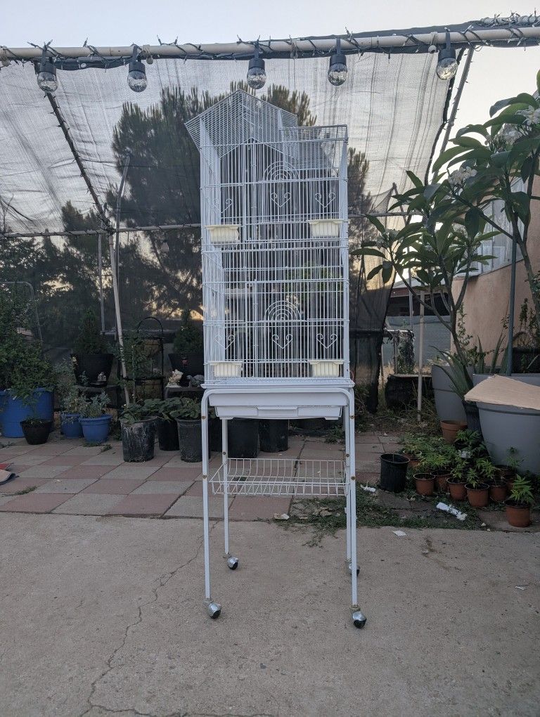 Bird Cage