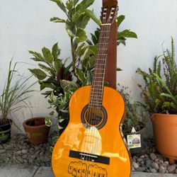 Acoustic Guitar