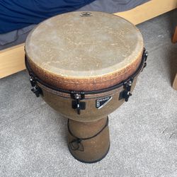 Remo 14” Djembe