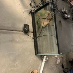 Fish Tank 