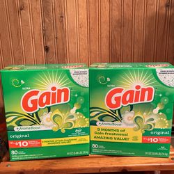 2 Gain Powder Detergent