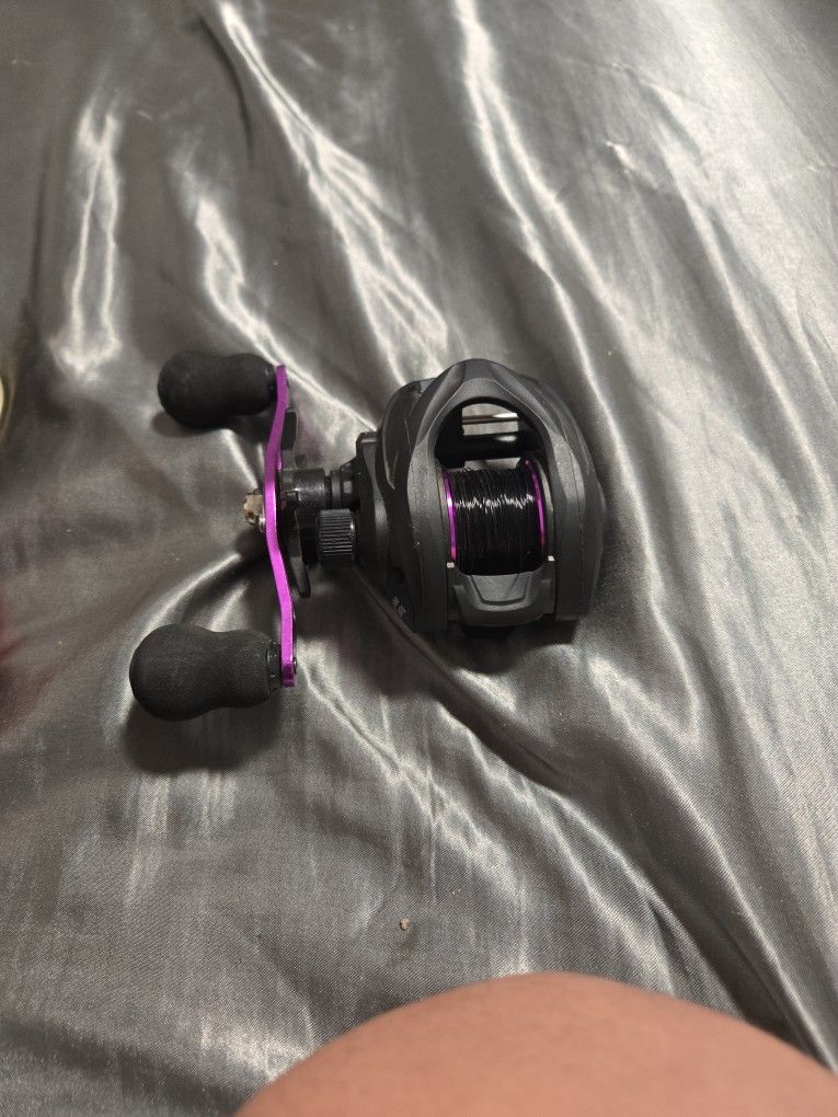 Baitcasting Reel