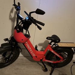 Troxus Ebike