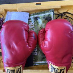 Everlast Boxing Gloves 